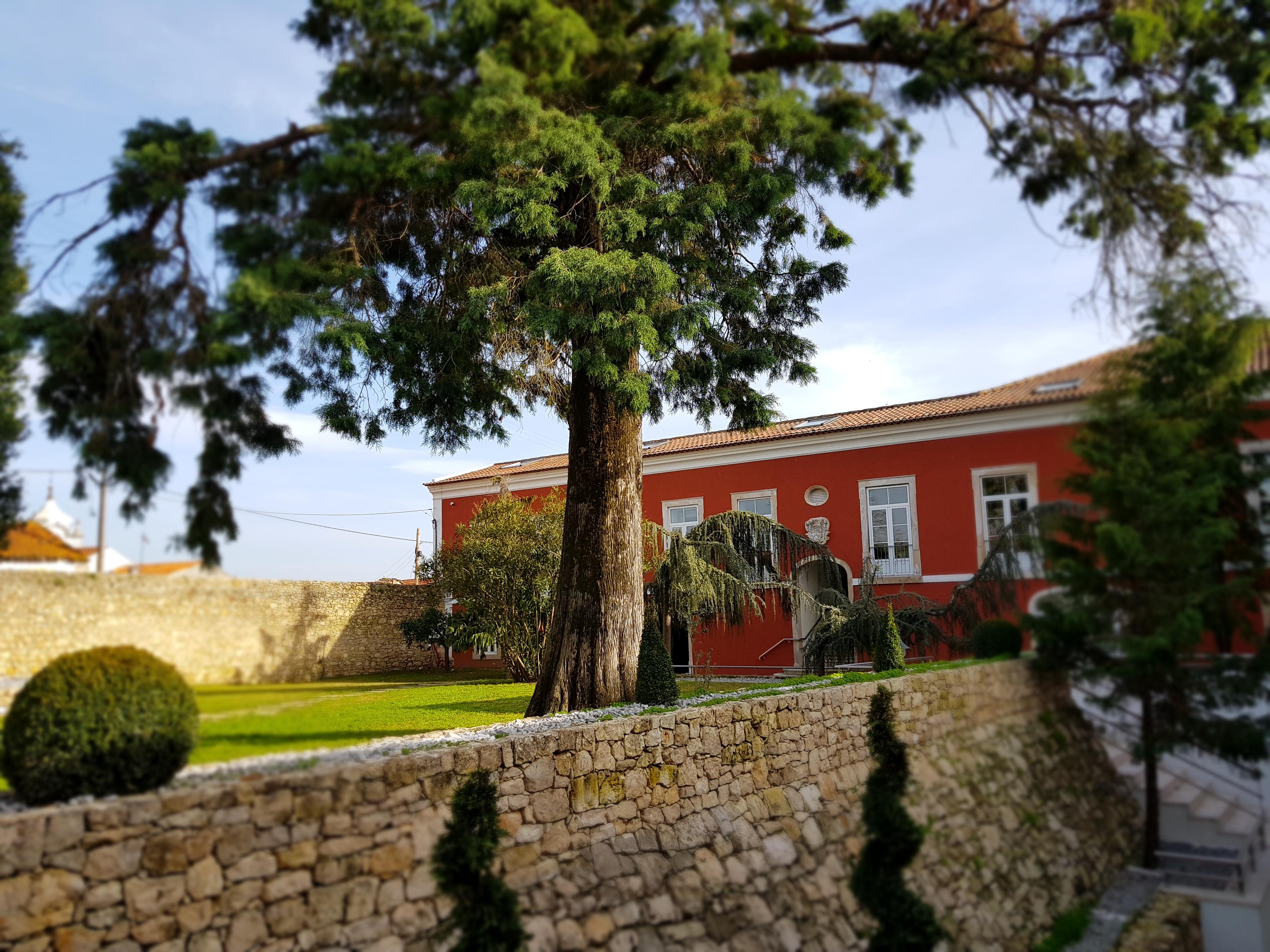 קוימברה Palacio Sao Silvestre-Boutique Hotel מראה חיצוני תמונה